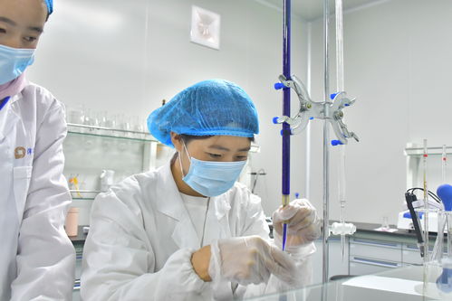 沛華農(nóng)業(yè)大方生產(chǎn)基地建成投產(chǎn) 做強沛華集團刺梨產(chǎn)業(yè) 組織文化藝術(shù)交流活動